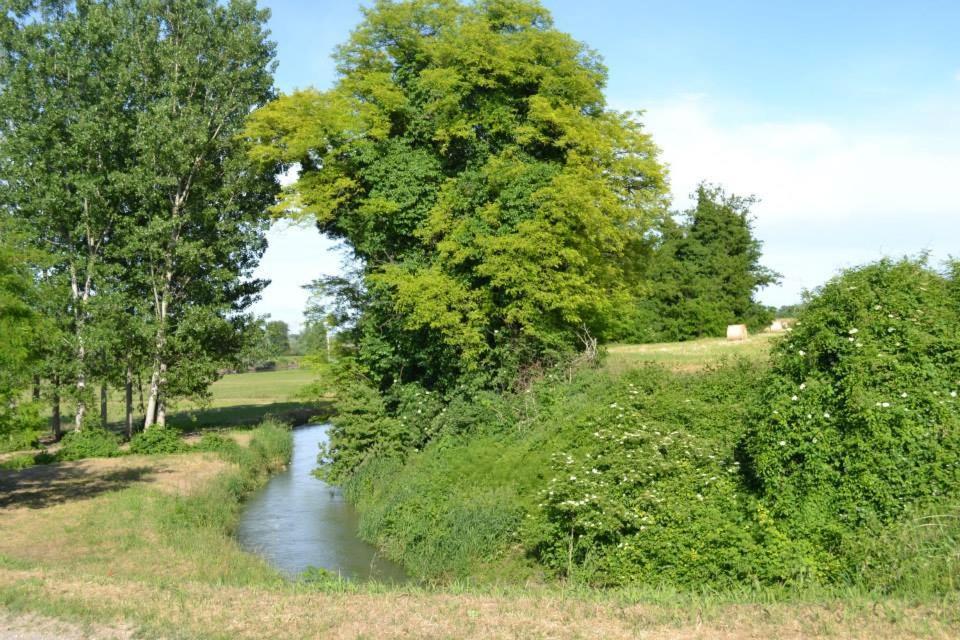 Agriturismo Il Campagnino Cremona Exterior foto