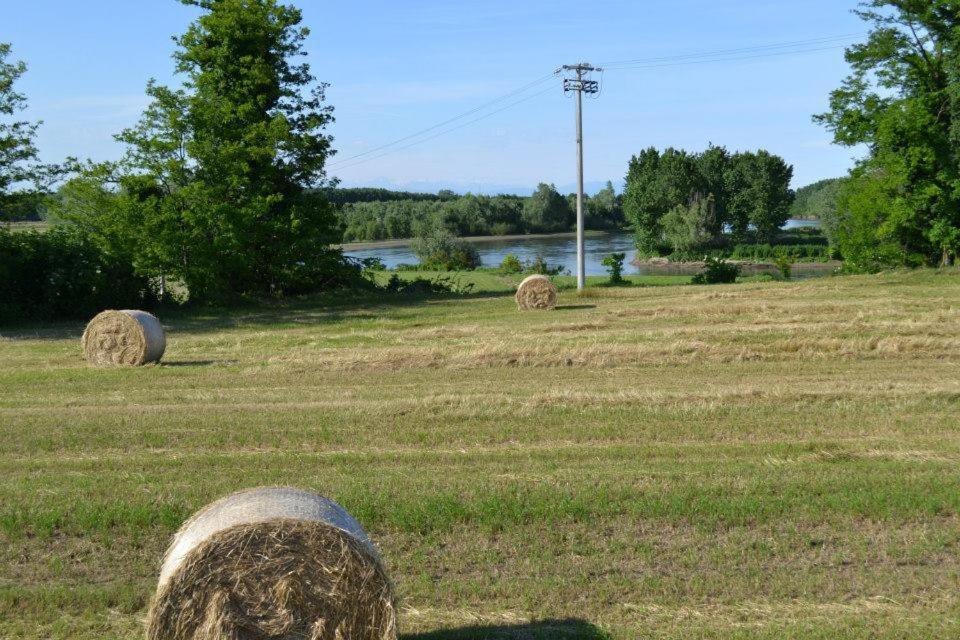 Agriturismo Il Campagnino Cremona Exterior foto