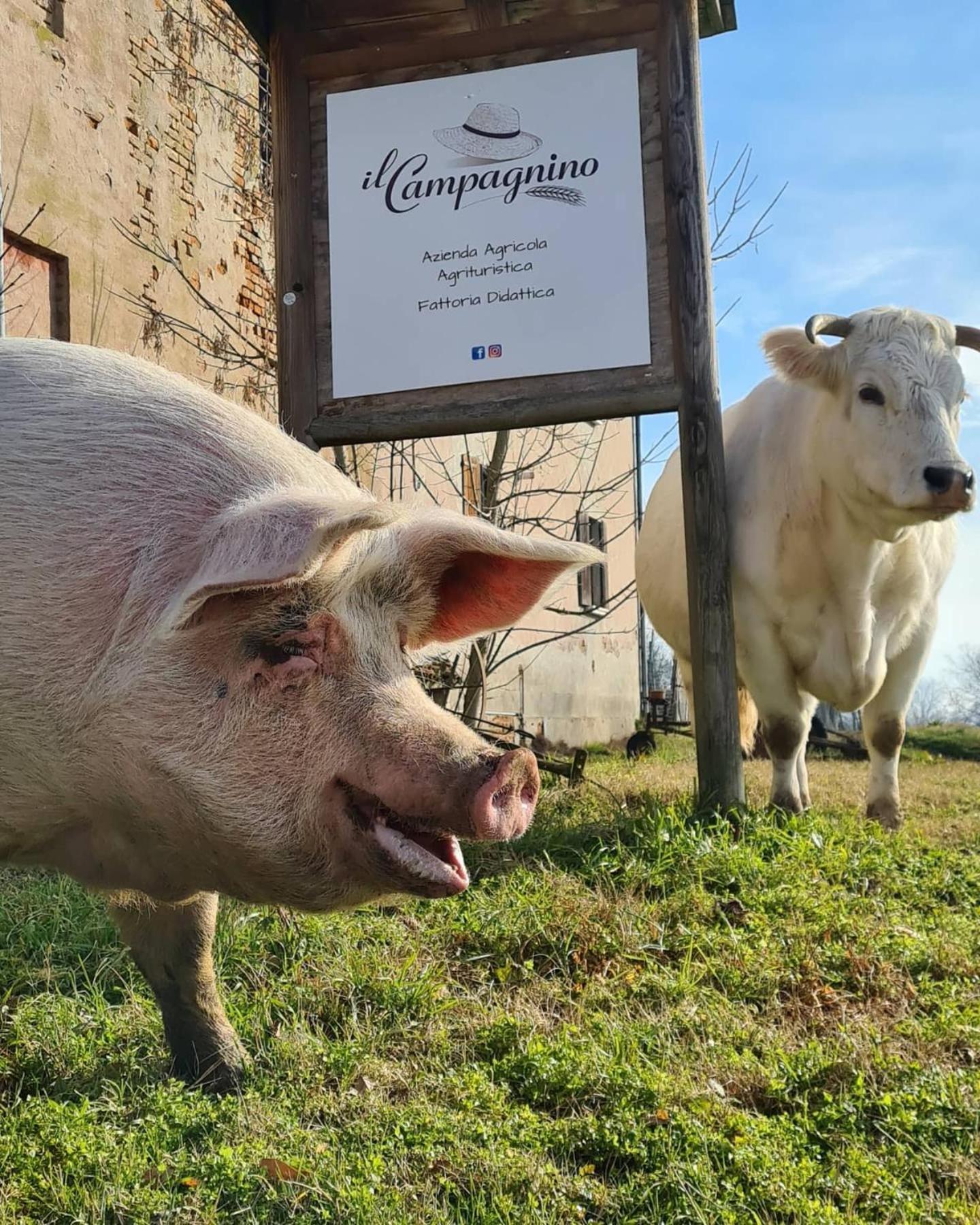 Agriturismo Il Campagnino Cremona Exterior foto