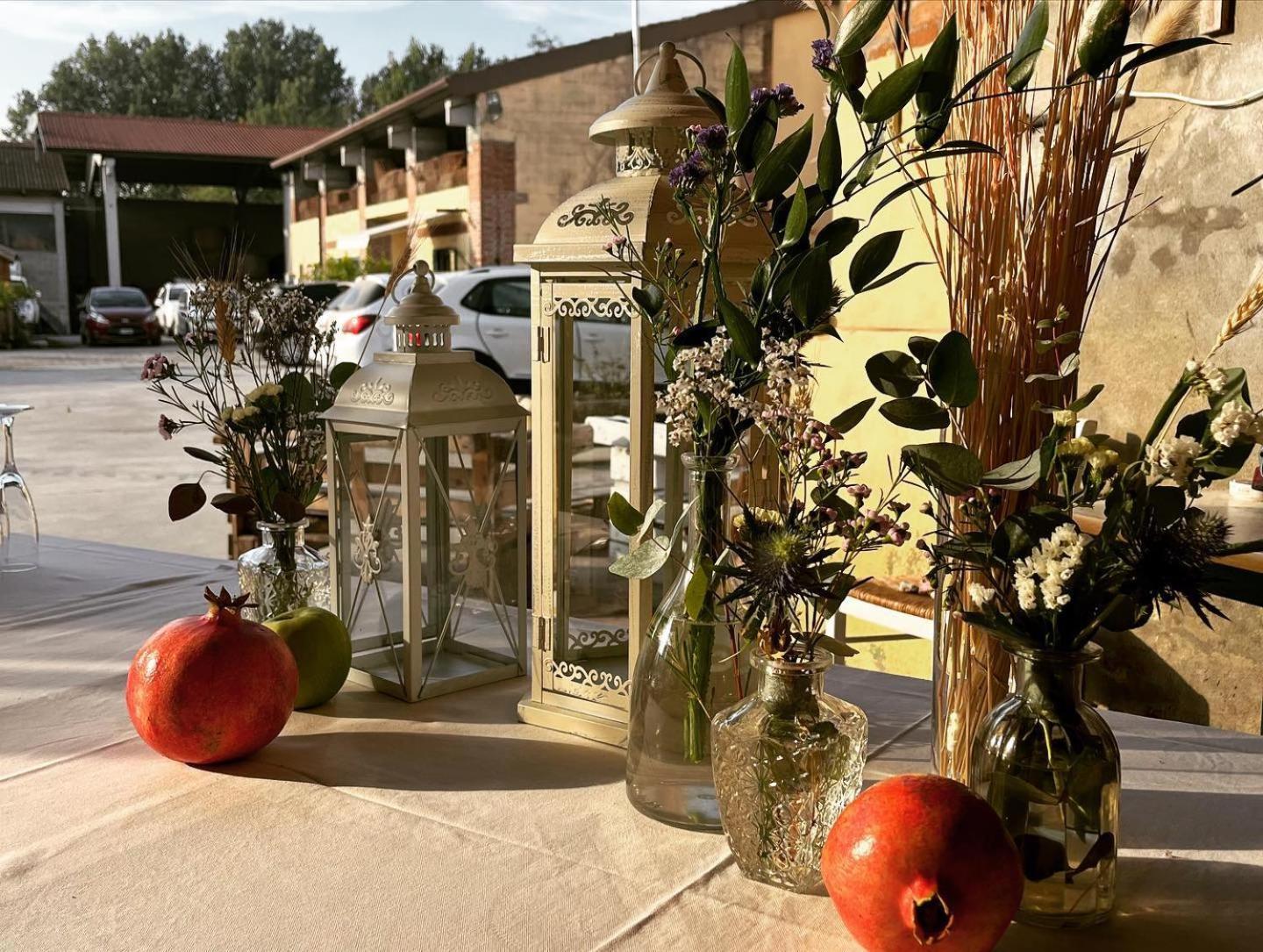 Agriturismo Il Campagnino Cremona Exterior foto