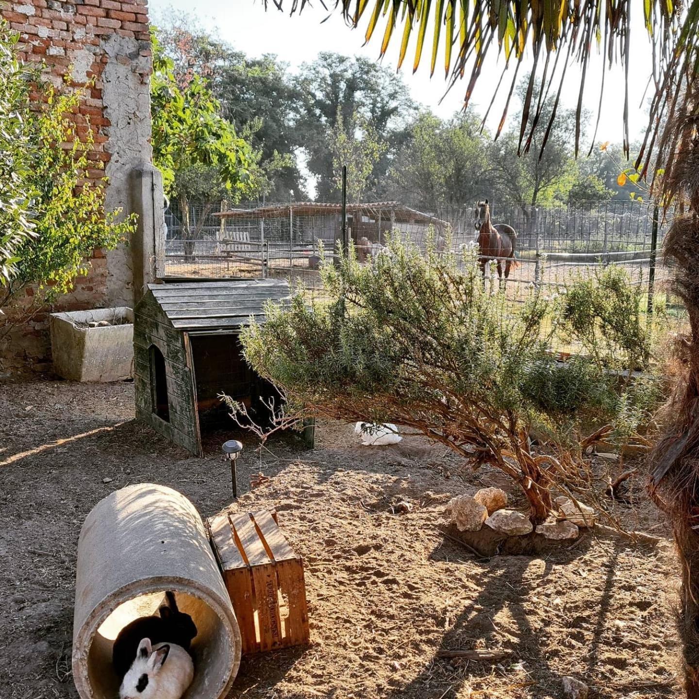 Agriturismo Il Campagnino Cremona Exterior foto